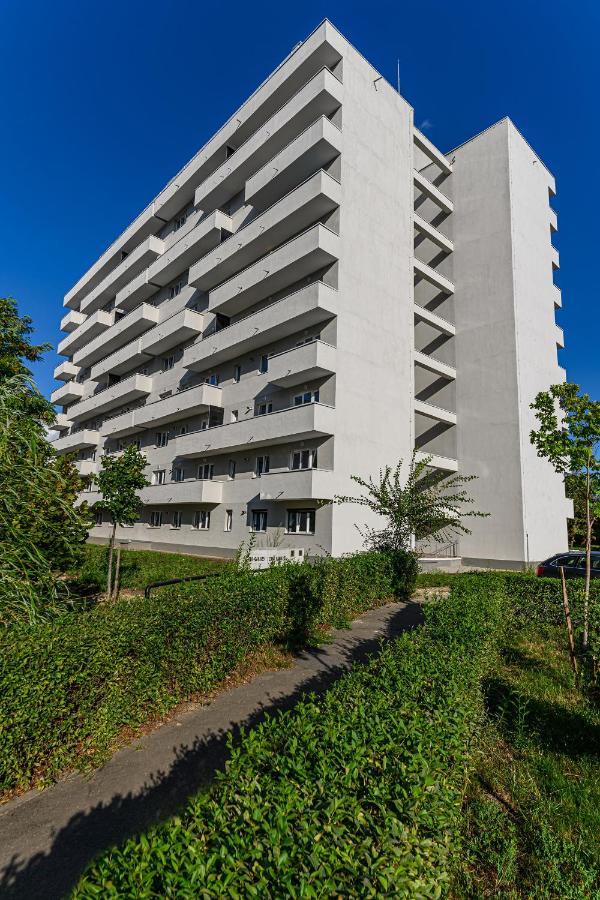 Koa - Pandora Apartments Brasov Ngoại thất bức ảnh